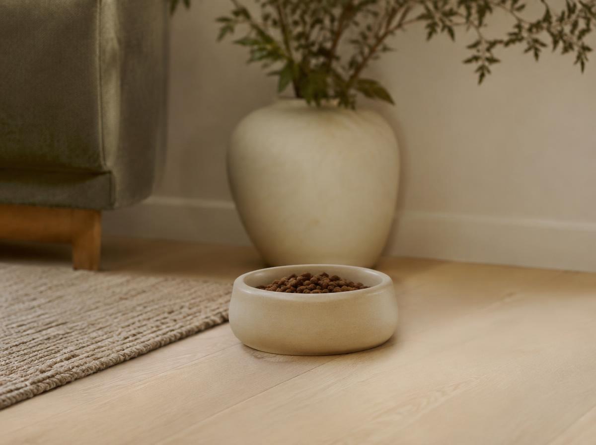 Stoneware Pet Bowl
