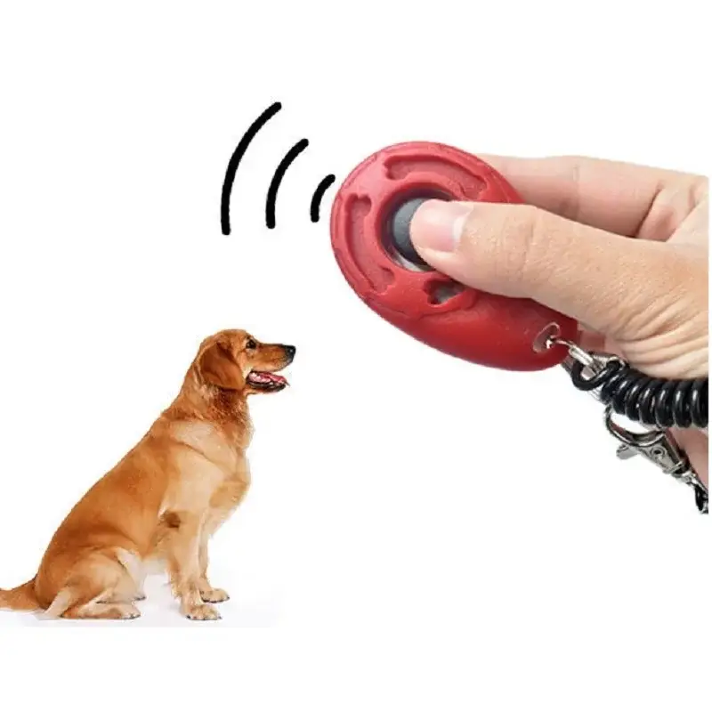 Dog Training Clicke 4